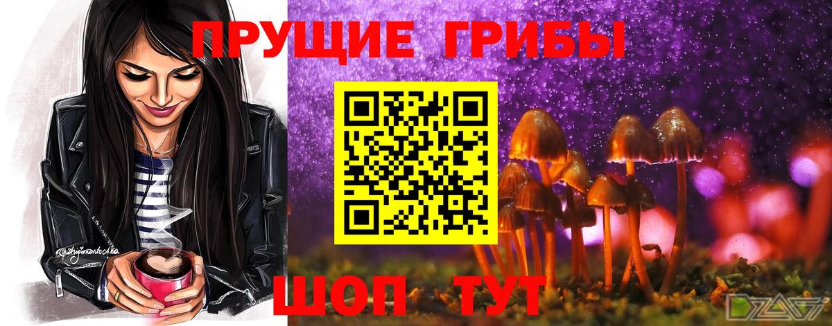 Псилоцибиновые грибы прущие грибы  Вход с VPN  Псилоцибиновые грибы мицелий  Людиново 